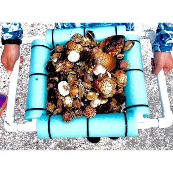 Floating Shell, Sand Sifter - Picture 11 of 11